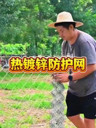 热镀锌铁丝网围栏铁网格网钢丝网勾花网养殖鸡羊狗果园防护