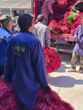 环保扫把扫帚加厚通用编织扫把工厂家庭环卫专用物业院子