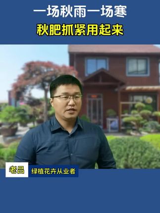 早知道君子兰吃饱了之后,这么能开花,我第一次养君子兰的时候就该把它给喂饱#养花#花卉#养花小知识 #君子兰 #养花