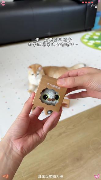 给猫咪买个喵喵球,相当于请了个陪玩保姆~ #逗猫神器 #猫玩具 #萌宠养成记