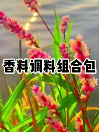 家家户户都用得上的八角香叶桂皮香料包来活动了,6大包才这个价真的太划算了