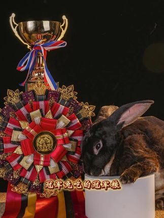 牛宠蓝莓兔粮让毛顺屎圆成为日常标配!