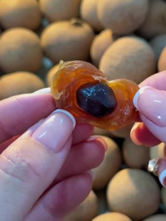 特大果正宗高州桂圆干,香甜又美味! 秋冬干货好物!今天给大家分享一款来自广东高州的老树桂圆干。#送礼佳品 #桂圆干直播中 #桂圆干怎么做 #桂圆干的好处 #高州桂圆