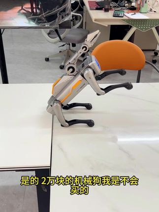 这机械狗太好玩了,送给孩子人生第一只机械狗可太有意义了#益智玩具