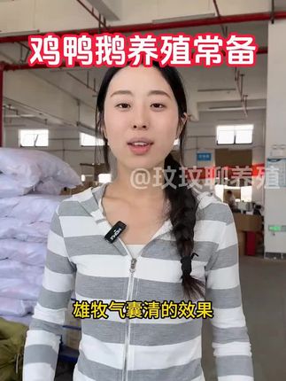 别让‘呼噜声’拖垮养殖利润!气囊清:呼吸道问题一喷畅通!