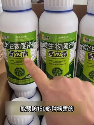 种植瓜果蔬菜 长得好用#菌立清 #微生物菌剂 #农资肥料 #农业种植 #果 蔬种植