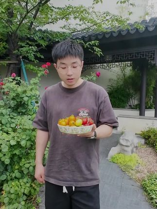 高品质四色风味番茄组合