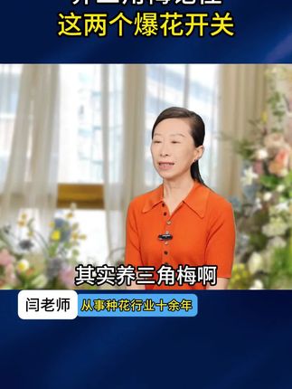 三角梅叶子发黄还掉瓣?赶紧插这支小红水!改良土壤补养分,叶子油亮花苞稳 #三角梅植物再生剂 #土壤改良