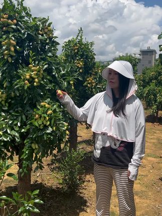 顺丰京东送货上门云南鸡心枣南高清甜酥脆云原大理宾川金脆蜜枣好吃枣子便宜子弹蜜枣