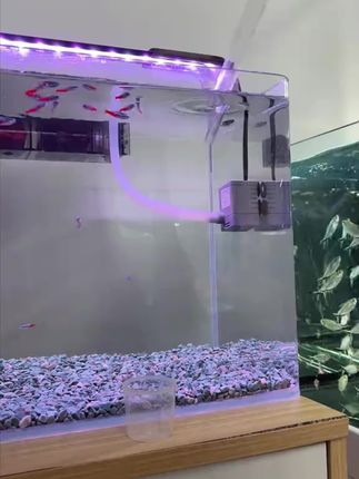 yee鱼缸吸便器吸鱼屎神器乌龟小型换水器迷你吸粪器吸鱼便清洁