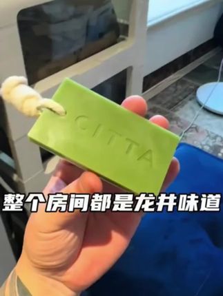从没闻过这么好闻的氧气感#香薰蜡片 小小一片仿佛浓缩整片龙井茶园的清香,好清新好治愈#香薰 #治愈系香气 #小众香薰