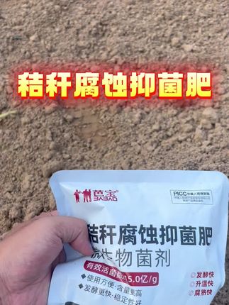 种植大田的老乡都在用这款秸秆腐蚀菌肥!快速腐熟,加速还田!现在下单还送生根一号!快来看看吧!#小麦种植#秸秆腐熟