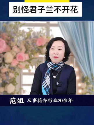 早知道君子兰吃饱了之后,这么能开花,我第一次养君子兰的时候就该把它给喂饱#养花#花卉#养花小知识 #君子兰 #养花