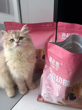猫咪健康成长,放心购买无压力! 1-12个月幼猫专用猫粮#一招打开宠物的清凉夏天 #不出门带宠溜达的办法有了 #贾乃亮捐赠了10吨宠物粮 #会吐舌的恐龙耶 #萌宠的夏日躺平大赛