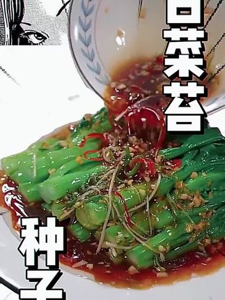 #白菜苔种子#蔬菜种子#在家种菜 #阳台小院均可种植 #超便宜超划算
