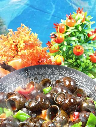 这是我一直回购的、正宗洪湖清水香辣大田螺,入味带劲、肉鲜味美、不满包退!#麻辣田螺 #香辣田螺 #大田螺