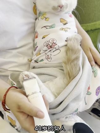 养猫人赶紧囤这个神奇的布吧,一包一裹,调皮的猫主子就再也跑不掉了,太方便了,好用还便宜#抖in萌宠计划