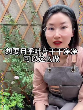 改良土壤,调节酸碱度,抗重茬,防烂根,促生长#枯草芽孢杆菌
