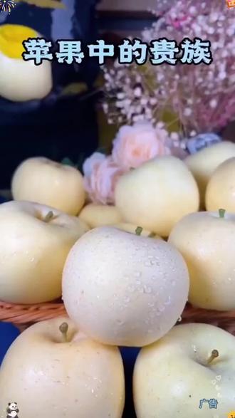 黄金奶油富士甜苹果111