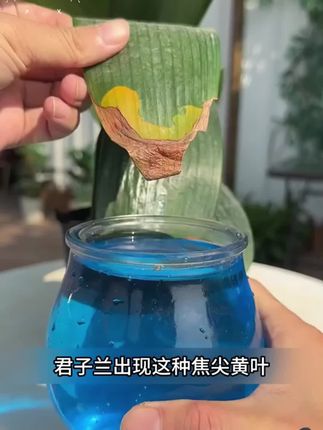 养花有技巧,多做这一步养花不再难 #种植小技巧 #园艺生活