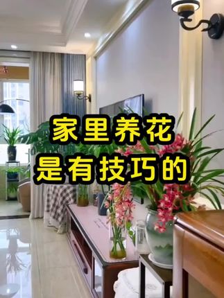 每盆花都插一下, 用不了多久花苞蹭蹭冒#养花#花卉绿植