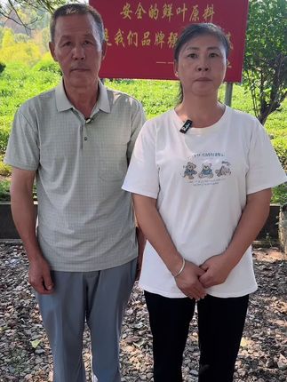 【不值3000退全款】九桶绿茶,清仓甩卖,仅售99元,还送五袋绿茶