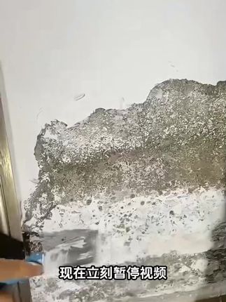 雅森白色墙面修补膏家用涂鸦修复白色墙洞钉眼翻新腻子防霉补墙膏