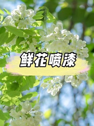 喷漆自由啦,6.88一瓶的花艺专用喷漆,各种网红颜色都有,缺货补货,好卖的囤货