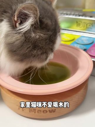 猫咪多补水来杯妮吖小彩杯进口牛肉基底乳化工艺好吸收,粉色嘘嘘杯、蓝色靓毛杯、金色肠胃杯、橙色亮眼杯、绿色排毛杯