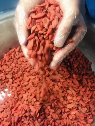爱自己从一杯真姜茶开始,每天喝一杯精心熬制,温暖自己!
