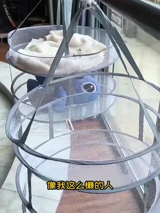 家用晒衣篮,有了这款晾晒网兜,袜子不用一个一个晾了#非常方便实用 #晾衣神器