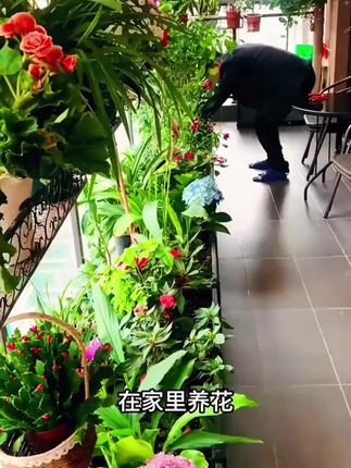 养花有技巧,多做这一步养花不再难 #种植小技巧 #园艺生活