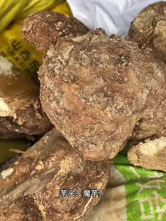 茯苓是个好东西买到好的茯苓不容易云南正宗云茯苓