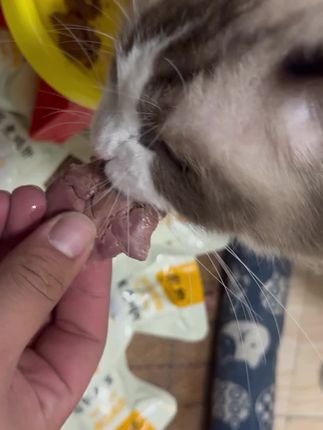 几毛钱一袋猫猫狗狗超爱吃