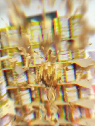 敬修堂中老年多维蛋白质粉2罐*1000g双蛋白11种矿物质老年蛋白粉