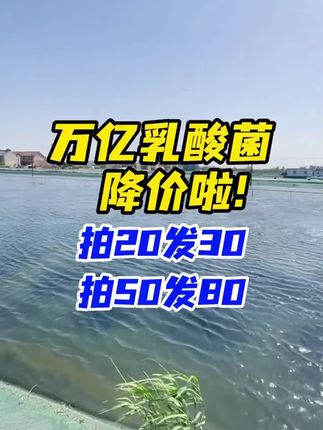 浓缩万亿乳酸菌拍20发30,拍50发80到手6.18/袋