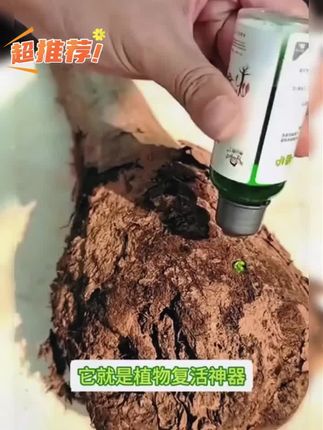 万能“营养 液”,烂根、黄叶别再愁!只需一瓶营养 液,轻松解决