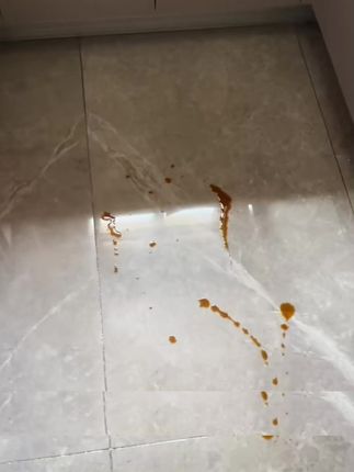 第二次推荐!这地板清洁剂太值了!3 瓶才 59.9,送抹布海绵擦,清洁养护二合一,不好用能退!# 国货之光