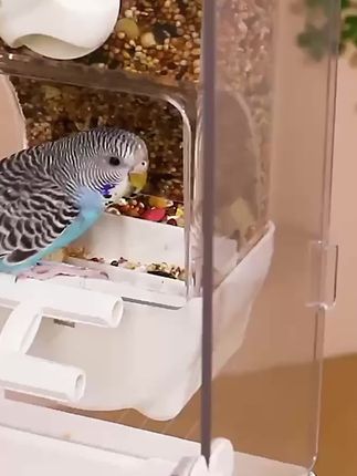 【宠大条】鹦鹉鸟食盒防撒自动下料器防溅外挂喂鸟喂食器虎皮鸟用品