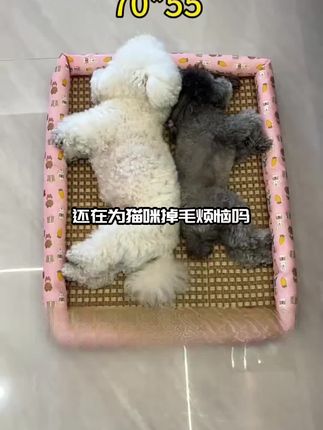 猫狗通用藤编凉席窝 2025 新款!夏季降温神器耐抓咬,给毛孩子一个冰爽梦乡