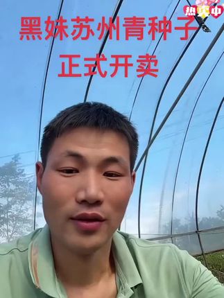 #在家种菜 自己在家就能种这个黑叶苏州青,好吃好种有营养