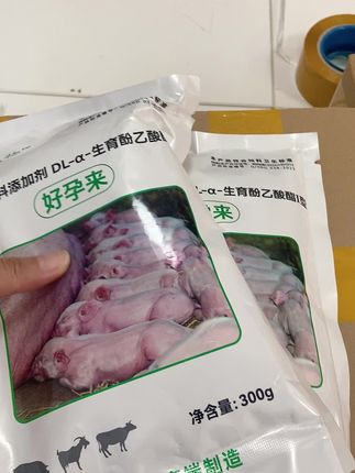 #新农人计划 #养猪 #三农养殖 #养殖户 #养殖人