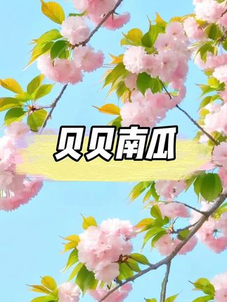 白浪源1号贝贝南瓜4.5斤装粗粮宝宝辅食粉面香甜板栗味小南瓜