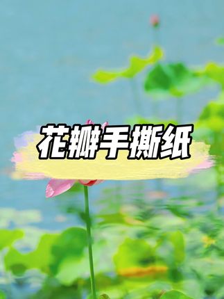 适合中高端的花瓣手撕纸,价格低到闭眼入都不心疼!风华纸的材质,防水耐揉不会破裂,又便宜又好用