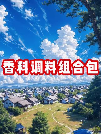 家家户户都用得上的八角香叶桂皮香料包来活动了,6大包才这个价真的太划算了