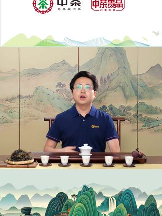 喝了半辈子的茶,从未如此喝过这样干净茶!