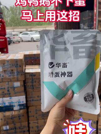 鸡鸭鹅不下蛋,马上用这招#养鸡人#蛋鸡