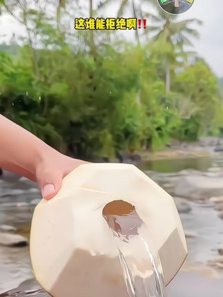 nfc100%椰子水