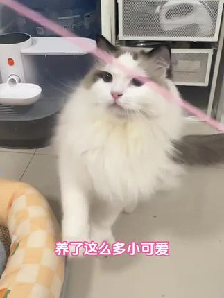 #开心就是幸福 #开心面对每一天 #开心就好🌷🌹 #快乐就这么简单 #快乐心态快乐生活
