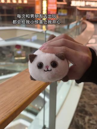 当男朋友突然送我摇尾巴小猫,谁会拒绝一个吱吱叫还可以摇尾巴的小猫猫啊!#礼物推荐 #钥匙扣 #小猫挂件 #情侣钥匙扣 #可爱礼物